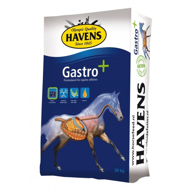 Havens Gastro + 20 kg