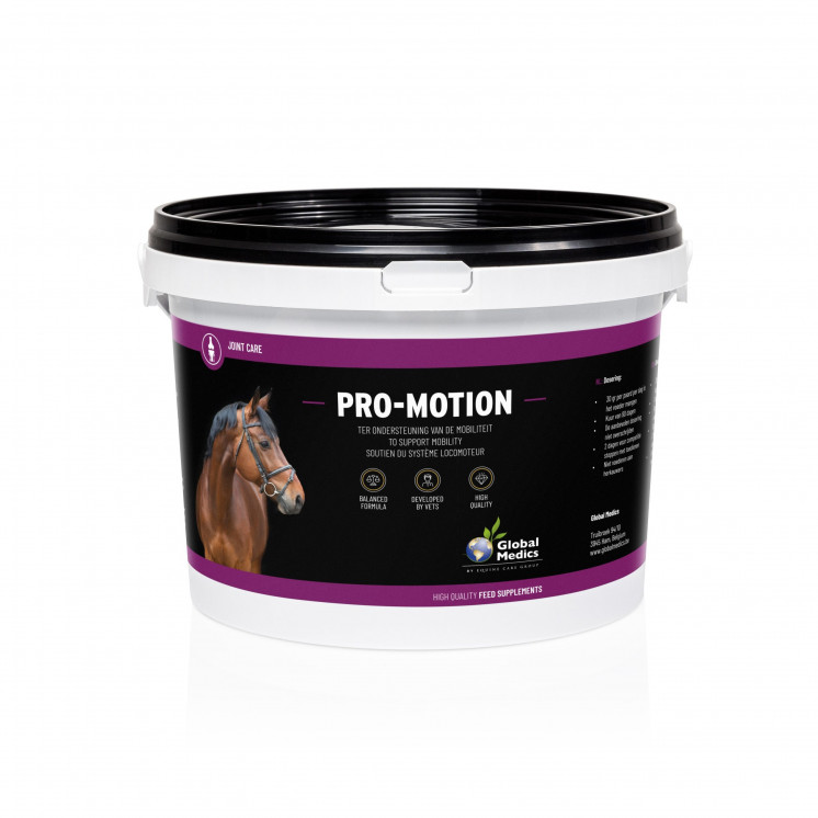 Pro-Motion 1 kg Global Medics
