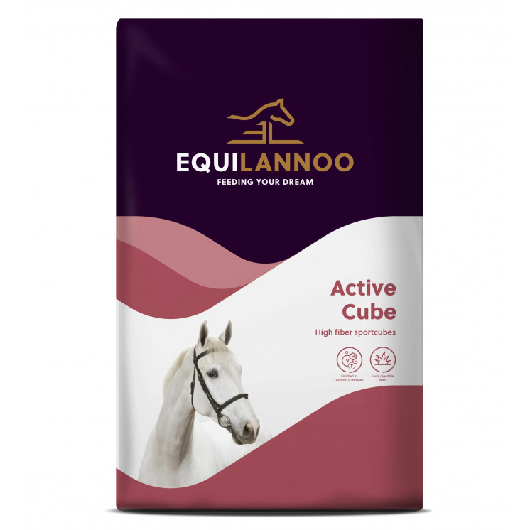 Active Cube 20 kg Equilannoo