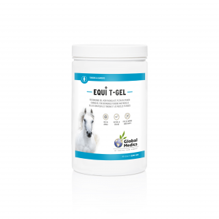 Equi T-Gel 2 L Global Medics