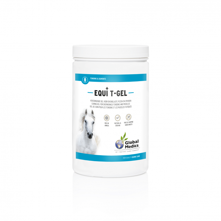 Equi T-Gel 2 L Global Medics
