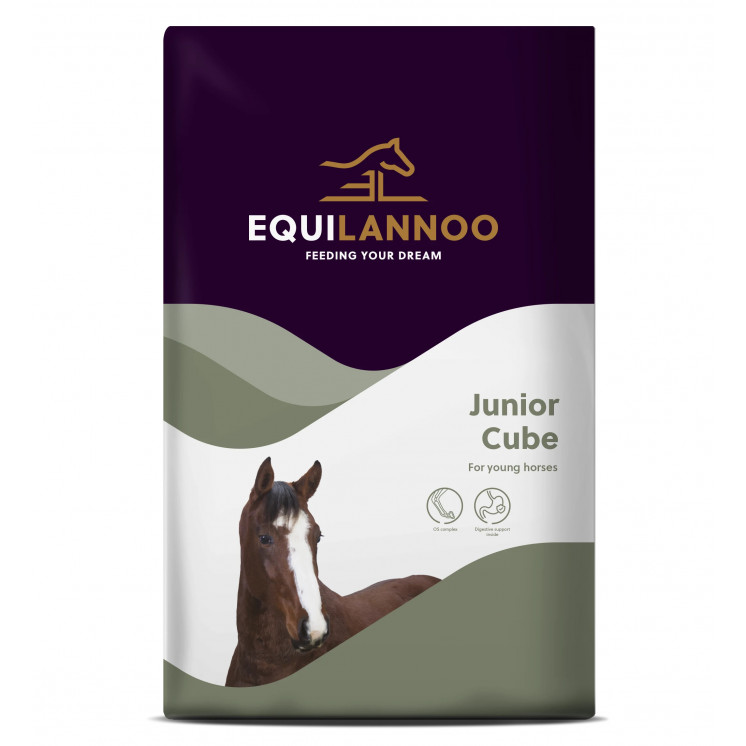 Junior Cube 20 kg Equilannoo