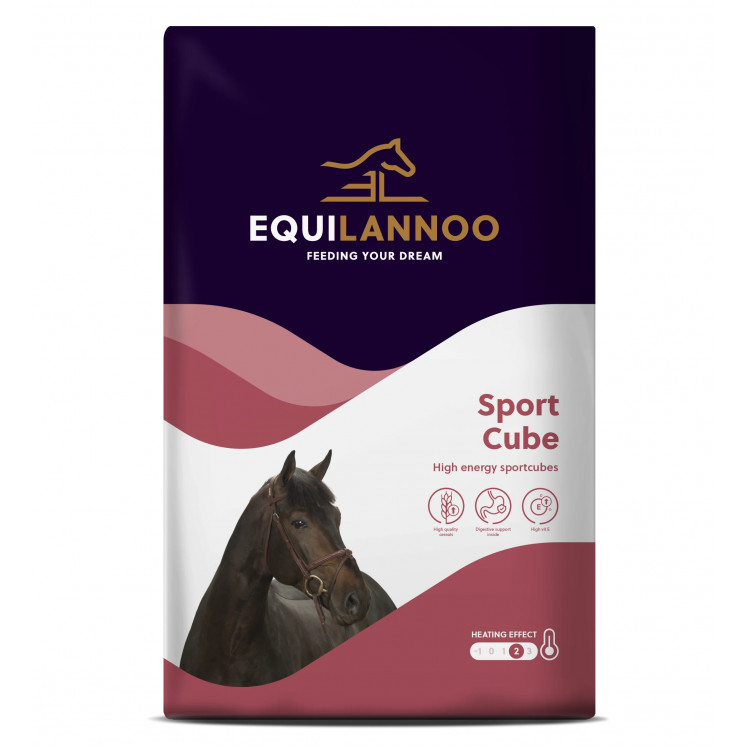 Sport Cube 20 kg Equilannoo