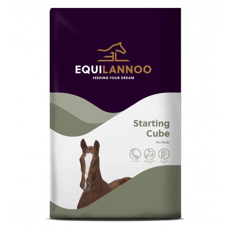 Starting Cube 20 kg Equilannoo